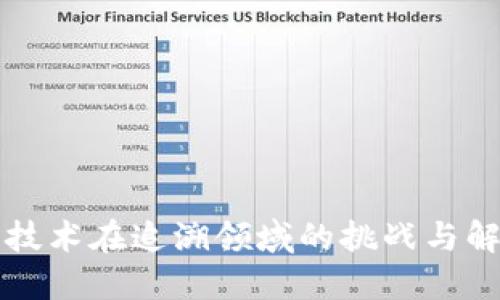 区块链技术在追溯领域的挑战与解决方案