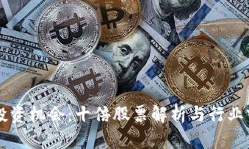 区块链投资机会：十倍股票解析与行业前景展望