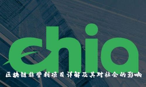 区块链非营利项目详解及其对社会的影响