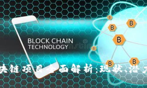 阳泉区块链项目全面解析：现状、潜力与趋势