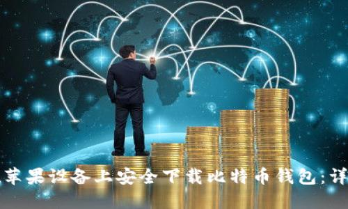 如何在苹果设备上安全下载比特币钱包：详尽指南