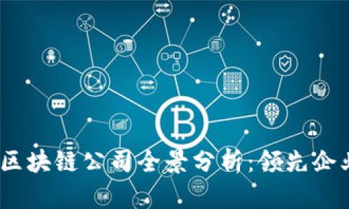 2023年中国区块链公司全景分析：领先企业与行业趋势