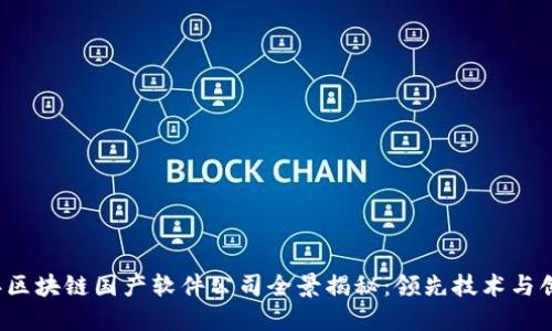 2023年区块链国产软件公司全景揭秘：领先技术与创新应用