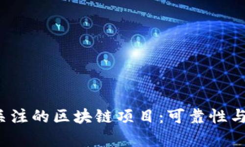 2023年值得关注的区块链项目：可靠性与投资前景分析