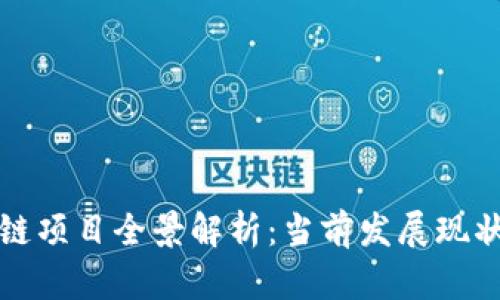大足区区块链项目全景解析：当前发展现状与未来前景