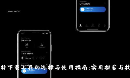 比特下载工具的选择与使用指南：实用推荐与技巧
