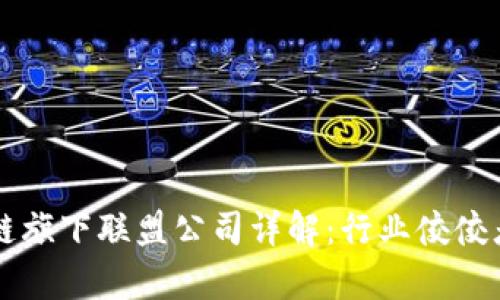 区块链旗下联盟公司详解：行业佼佼者解析