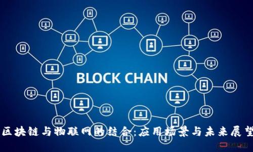 区块链与物联网的结合：应用场景与未来展望