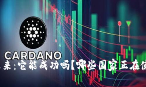 派币的未来：它能成功吗？哪些国家正在使用派币？