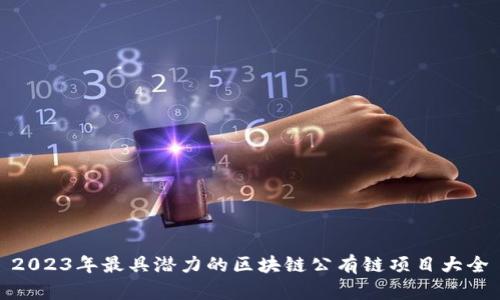 2023年最具潜力的区块链公有链项目大全
