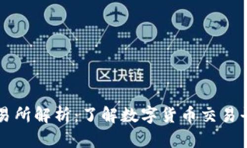 比特交易网交易所解析：了解数字货币交易平台的运作方式