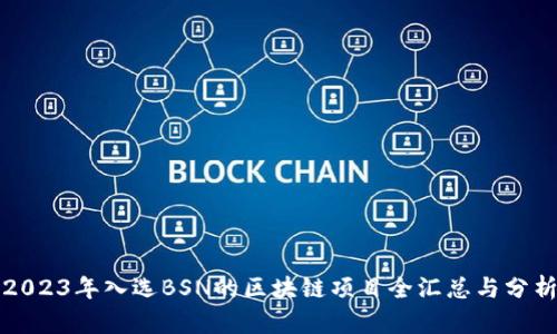 2023年入选BSN的区块链项目全汇总与分析
