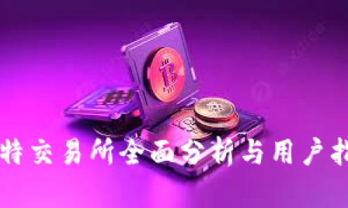 比特交易所全面分析与用户指南