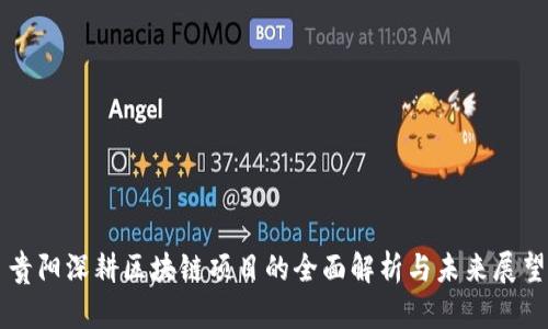 贵阳深耕区块链项目的全面解析与未来展望