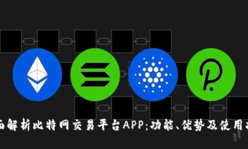 全面解析比特网交易平台APP：功能、优势及使用指南