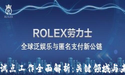 
区块链试点工作全面解析：关键领域与未来展望
