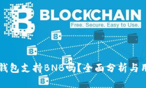 比特派钱包支持BNB吗？全面分析与用户指南