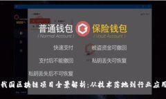 我国区块链项目全景解析：从技术落地到行业应