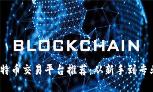 2023年最佳比特币交易平台推荐：从新手到专业交易者的选择
