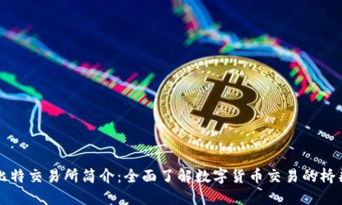 比特交易所简介：全面了解数字货币交易的桥梁