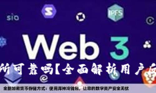 比特派交易所可靠吗？全面解析用户反馈与安全性