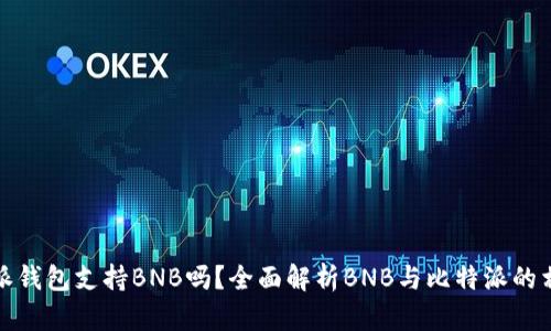 比特派钱包支持BNB吗？全面解析BNB与比特派的相关性