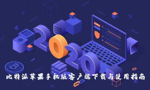 比特派苹果手机版客户端下载与使用指南