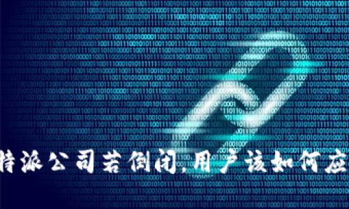 比特派公司若倒闭，用户该如何应对？