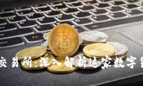 比特交易网交易所：深入解析这家数字货币交易平台