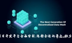 区块链项目开发平台全面分析：选择合适的平台