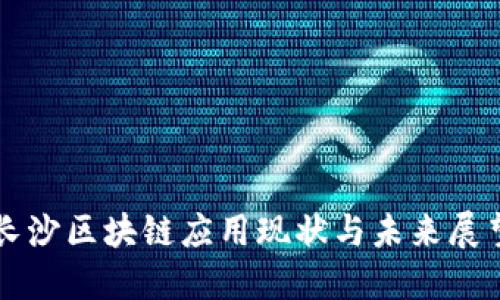 长沙区块链应用现状与未来展望