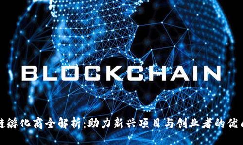 区块链孵化商全解析：助力新兴项目与创业者的优质选择