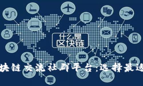 全面解析区块链交流社群平台：选择最适合你的社区