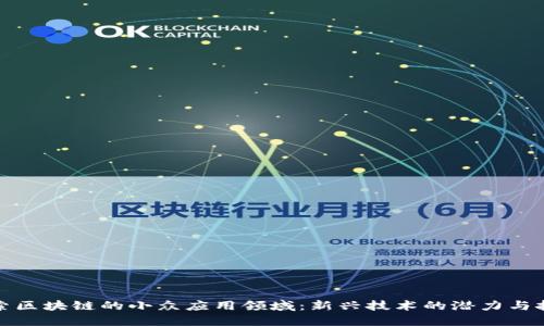 探索区块链的小众应用领域：新兴技术的潜力与挑战