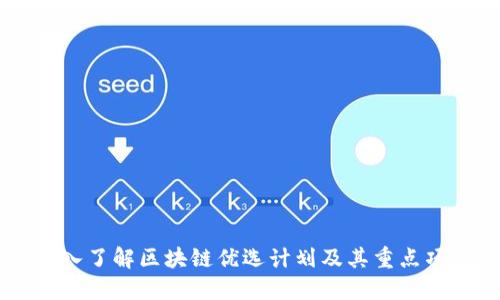 深入了解区块链优选计划及其重点项目