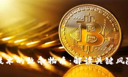 区块链技术的致命物质：解读关键风险与挑战