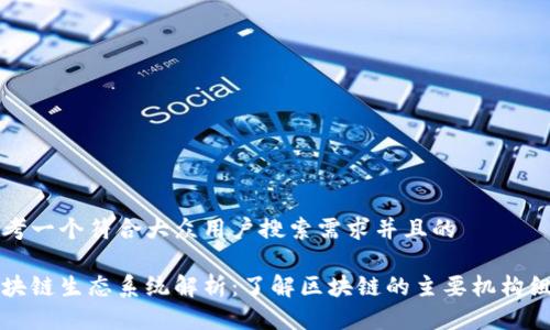 思考一个符合大众用户搜索需求并且的

区块链生态系统解析：了解区块链的主要机构组成