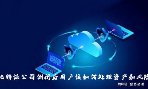 比特派公司倒闭后用户该如何处理资产和风险