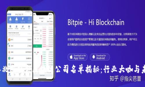 2023年北京顶尖区块链公司名单揭秘：行业大咖与未来前景