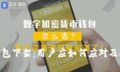 Bitpie钱包下架：用户应如何应对及安全提示