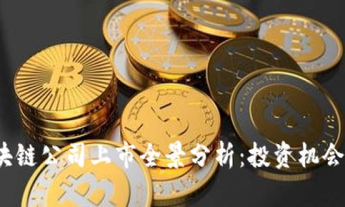 2023年区块链公司上市全景分析：投资机会与市场前景