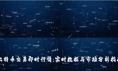 比特币交易即时行情：实时数据与市场分析指南