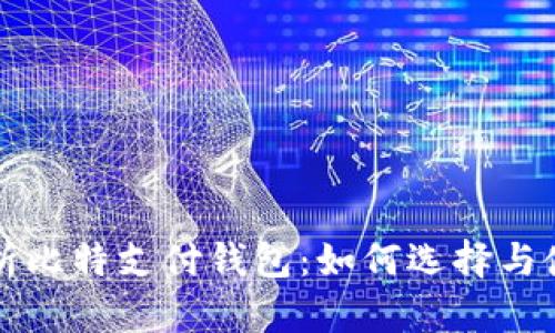全面解析比特支付钱包：如何选择与使用指南