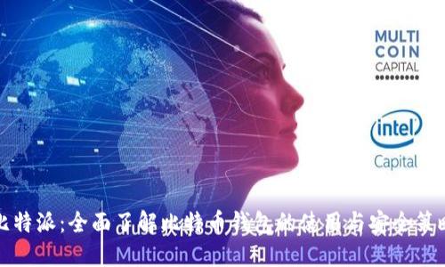 比特派：全面了解比特币钱包的使用与安全策略