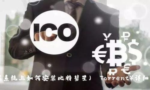 苹果系统上如何安装比特彗星（µTorrent）详细指南