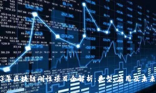 2023年区块链刚性项目全解析：类型、应用及未来前景