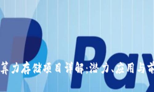 区块链算力存储项目详解：潜力、应用与前景分析