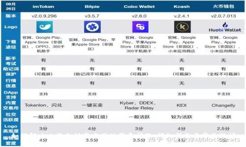如何解决比特支付官方网站登录问题：详细指南与常见疑问