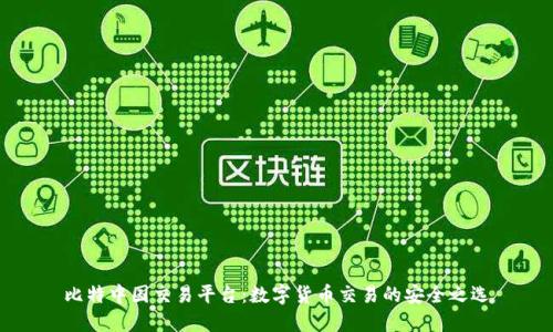 比特中国交易平台：数字货币交易的安全之选