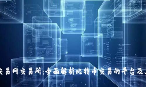 比特交易网交易所：全面解析比特币交易的平台及其功能